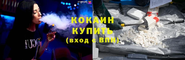 молекула духа Елизово