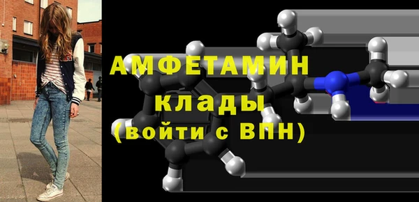 молекула духа Ельня