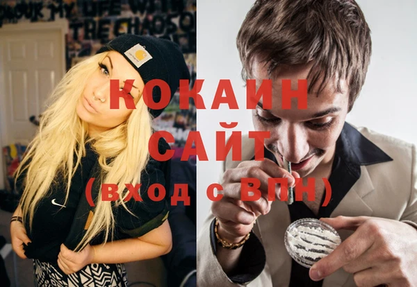 молекула духа Елизово