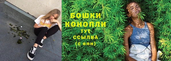 молекула духа Елизово