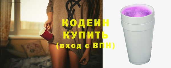 молекула духа Ельня