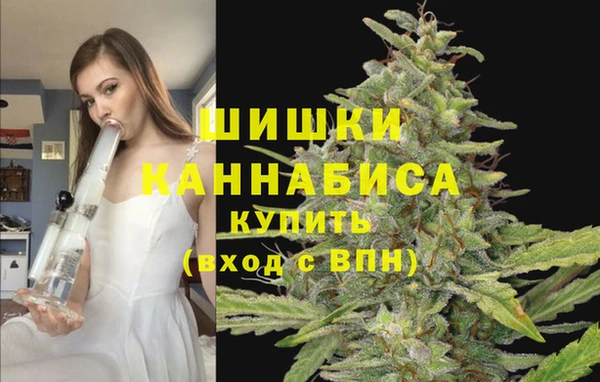 молекула духа Ельня