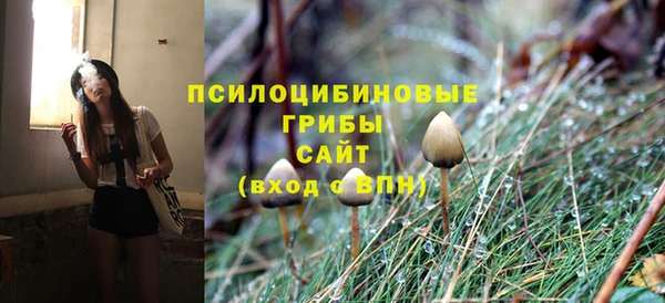 молекула духа Ельня