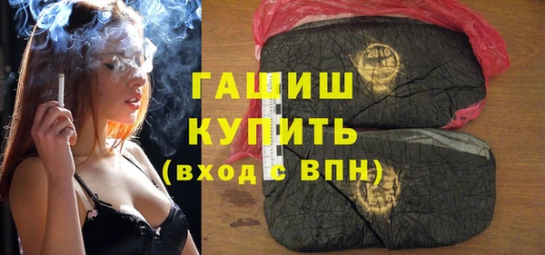 молекула духа Ельня