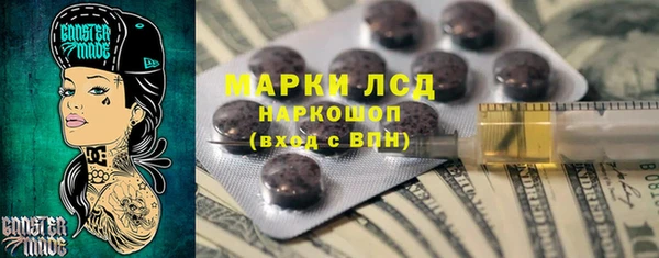 молекула духа Ельня