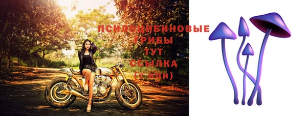 молекула духа Ельня