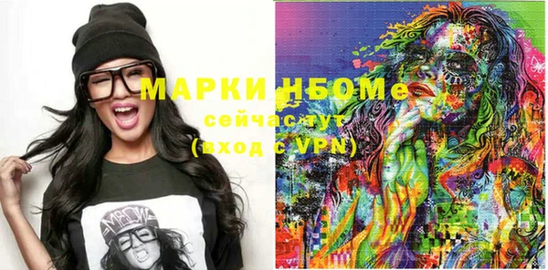 молекула духа Ельня