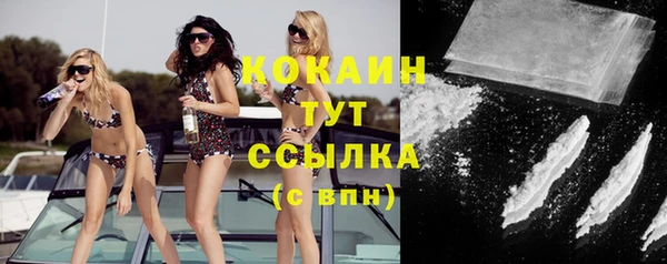 молекула духа Елизово