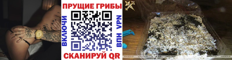 Галлюциногенные грибы GOLDEN TEACHER  Купить закладки  Махачкала 